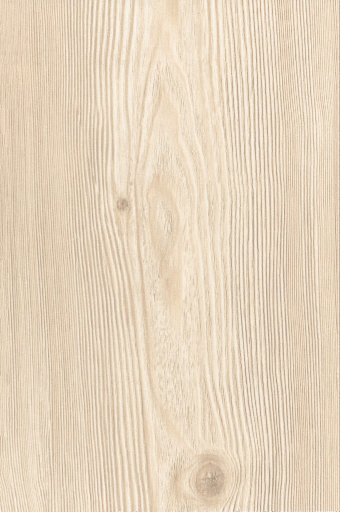 Vestibulum 